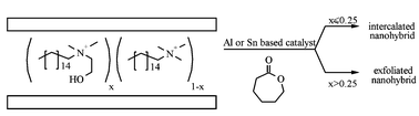 Graphical abstract: Polyester layered silicate nanohybrids by controlled grafting polymerization