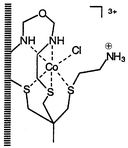 Graphical abstract: An unusual pendant-arm macrocycle formed by condensation of a cobalt(iii) tripodal complex with methanal