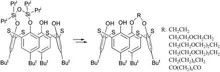 Graphical abstract: First synthesis of 25,26-bridged thiacalix[4]crowns by the use of a 25,26-O-disiloxanediyl-capped p-tert-butylthiacalix[4]arene