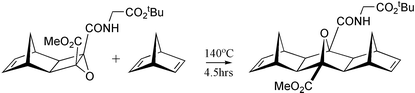 Graphical abstract: Synthesis of [n]polynorbornanes with differing edge substitution: a new class of regioselectively addressable framework