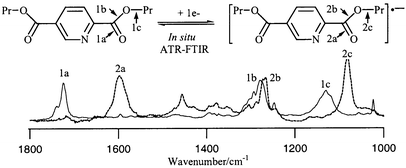 Graphical abstract: In situ electrochemical-ATR-FTIR spectroscopic studies on solution phase carboxylate radical anions