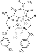 Graphical abstract: A tri-armed sulfonamide host for selective binding of chloride