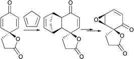Graphical abstract: Efficient synthesis of a 4,5-epoxy-2-cyclohexen-1-one derivative bearing a spirolactone via a Diels–Alder reaction with high π-facial selectivity: a synthetic study towards scyphostatin