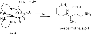 Graphical abstract: Assembly of polyamines via amino acids from three components using cobalt(iii) template methodology