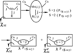 Graphical abstract: A novel heterospin polynuclear complex containing both macrocyclic and imino nitroxide radical ligands: {[CuL(H2O)](CuL)Mn(IM-2Py)}{[CuL(MeOH)](CuL)Mn(IM-2Py)}(ClO4)4·MeOH