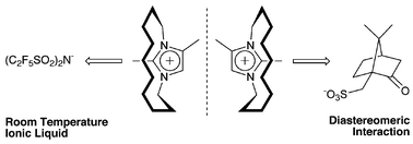 Graphical abstract: Design and synthesis of a novel imidazolium-based ionic liquid with planar chirality