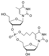 Graphical abstract: Tandem ring-closing metathesis and hydrogenation towards cyclic dinucleotides