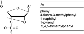 Graphical abstract: Conformationally locked aryl C-nucleosides: synthesis of phosphoramidite monomers and incorporation into single-stranded DNA and LNA (locked nucleic acid)1