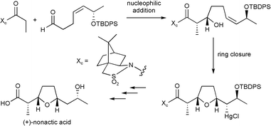 Graphical abstract: A nucleophilic addition ring closure [NARC]-based synthesis of (+) -nonactic acid