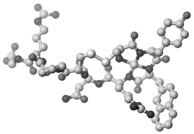 Graphical abstract: Unusual gain in the coordination ability of vasopressin-like peptides towards Cu2+ ions by insertion of the highly hydrophobic side chain