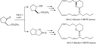 Graphical abstract: Synthesis of (R)-6,7-dihydro-5-HETE lactone and (S)-6,7-dihydro-5-HETE lactone by using novel yeast reduction as a key reaction