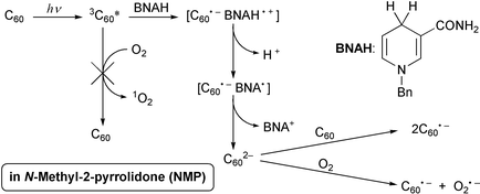 Graphical abstract: Direct detection of superoxide anion generated in C60-photosensitized oxidation of NADH and an analogue by molecular oxygen