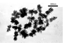 Graphical abstract: Formation of crystalline nanosized titania in reverse micelles at room temperature