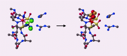 Graphical abstract: The role of post-translational modification in the photoregulation of Fe-type nitrile hydratase