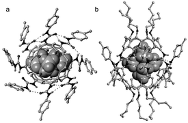 Graphical abstract: Dimeric capsules of tetraurea calix[4]arenes. MD simulations and X-ray structure, a comparison