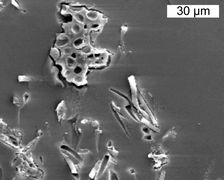 Graphical abstract: Hybrid materials based on lichen–polysiloxane matrices: application as electrochemical sensors