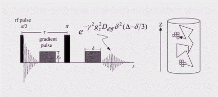 Graphical abstract: Lack of evidence of dilution history-dependence upon solute aggregation in water. A nuclear magnetic resonance determination of self-diffusion coefficients