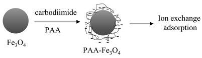 Graphical abstract: Preparation and characterization of a novel magnetic nano-adsorbent