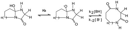 Graphical abstract: Ring size configuration effect and the transannular intrinsic rates in bislactam macrocycles