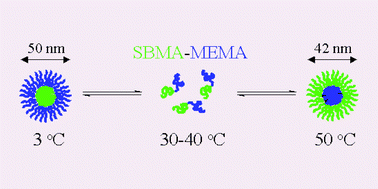 Graphical abstract: Synthesis and aqueous solution properties of a well-defined thermo-responsive schizophrenic diblock copolymer