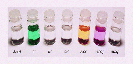 Graphical abstract: A selective colorimetric anion sensor based on an amide group containing macrocycle
