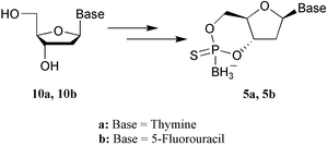 Graphical abstract: Synthesis of nucleoside 3′,5′-cyclic boranophosphorothioate, a new type of cyclic nucleotide