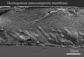Graphical abstract: Homogeneous polymer–zeolite nanocomposite membranes by incorporating dispersible template-removed zeolite nanocrystals