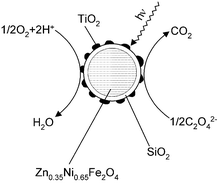 Graphical abstract: Magnetic photocatalysts of the core-shell type