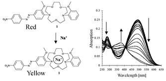 Graphical abstract: Synthesis and evaluation of colorimetric chemosensors for monitoring sodium and potassium ions in the intracellular concentration range