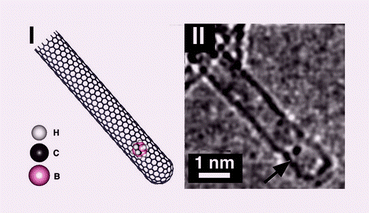 Graphical abstract: Direct imaging of o-carborane molecules within single walled carbon nanotubes