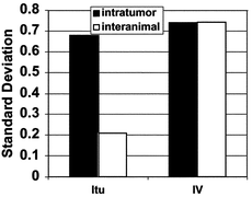 Graphical abstract: Spatial heterogeneity and temporal kinetics of photosensitizer (AlPcS2) concentration in murine tumors RIF-1 and MTG-B