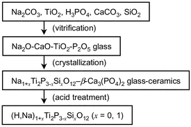 Graphical abstract: Preparation of ion exchangers in the hydrogen form from M1+xTi2P3−xSixO12 (M = Li, Na) crystals and glass-ceramics and their characterization