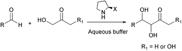 Graphical abstract: Direct organocatalytic aldol reactions in buffered aqueous media