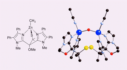 Graphical abstract: A new bis(imidazolyl)(alkylthiolate) tripodal ligand and the spontaneous formation of a disulfide-linked, hydroxo-bridged dinuclear zinc complex