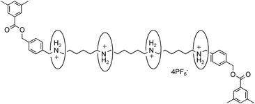 Graphical abstract: Highly efficient synthesis of [3]- and [5]-rotaxanes consisting of crown ether and a sec-ammonium salt