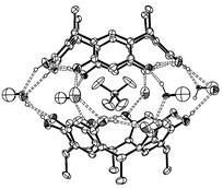 Graphical abstract: Self-assembling resorcinarene capsules: solid and gas phase studies on encapsulation of small alkyl ammonium cations