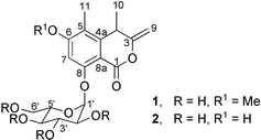 Graphical abstract: Halorosellins A and B, unique isocoumarin glucosides from the marine fungus Halorosellinia oceanica