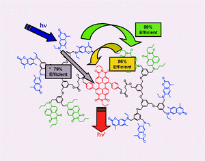 Graphical abstract: Cascade energy transfer in a conformationally mobile multichromophoric dendrimer