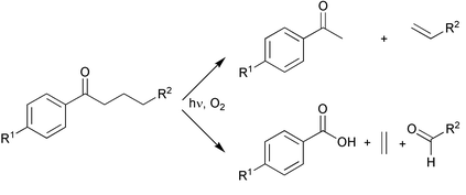 Graphical abstract: Light induced controlled release of fragrances by Norrish type II photofragmentation of alkyl phenyl ketones