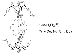 Graphical abstract: Capture of di-protonated [2.2.2]cryptand in the cavity of two p-sulfonated calixarenes as part of 2-D bi-layer lanthanide coordination polymers