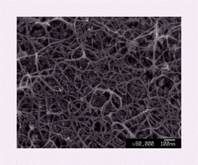 Graphical abstract: Synthesis of high purity single-walled carbon nanotubes in high yield