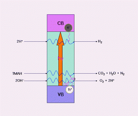 Graphical abstract: Nickel-loaded La2Ti2O7 as a bifunctional photocatalyst