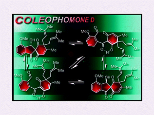 Graphical abstract: Total synthesis of coleophomone D