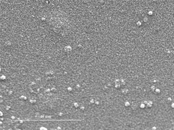 Graphical abstract: Synthesis of TiN thin films from titanium imido complexes