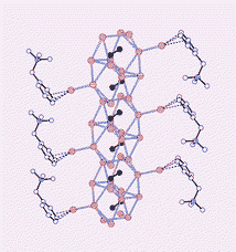 Graphical abstract: A novel organometallic columnar complex containing endohedral silver(i)–ethynediyl binding and exterior silver(i)–aromatic interaction