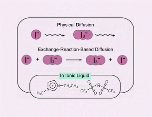 Graphical abstract: Equilibrium potentials and charge transport of an I−/I3− redox couple in an ionic liquid