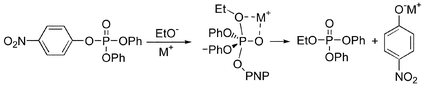 Graphical abstract: Alkali-metal ion catalysis and inhibition in nucleophilic displacement reactions at carbon, phosphorus and sulfur centres. IX.p-Nitrophenyl diphenyl phosphate