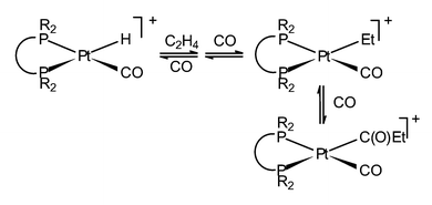 Graphical abstract: The effect of mechanistic pathway on activity in the Pd and Pt catalysed methoxycarbonylation of ethene