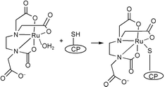 Graphical abstract: Interaction of [RuIII(edta)(H2O)]− with amino acids in aqueous solution. Equilibrium, kinetic and protease inhibition studies