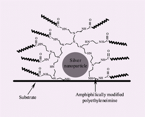 Graphical abstract: Hybrids of silver nanoparticles with amphiphilic hyperbranched macromolecules exhibiting antimicrobial properties